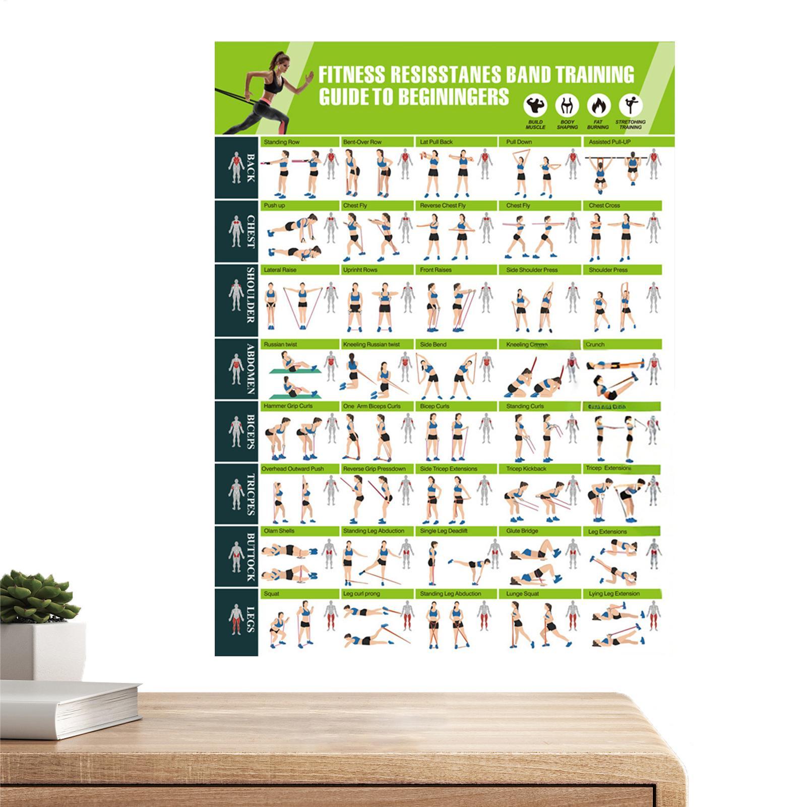Fitness-Poster, Widerstandsbän – Women Accessories Poster Bewertung und Preis
