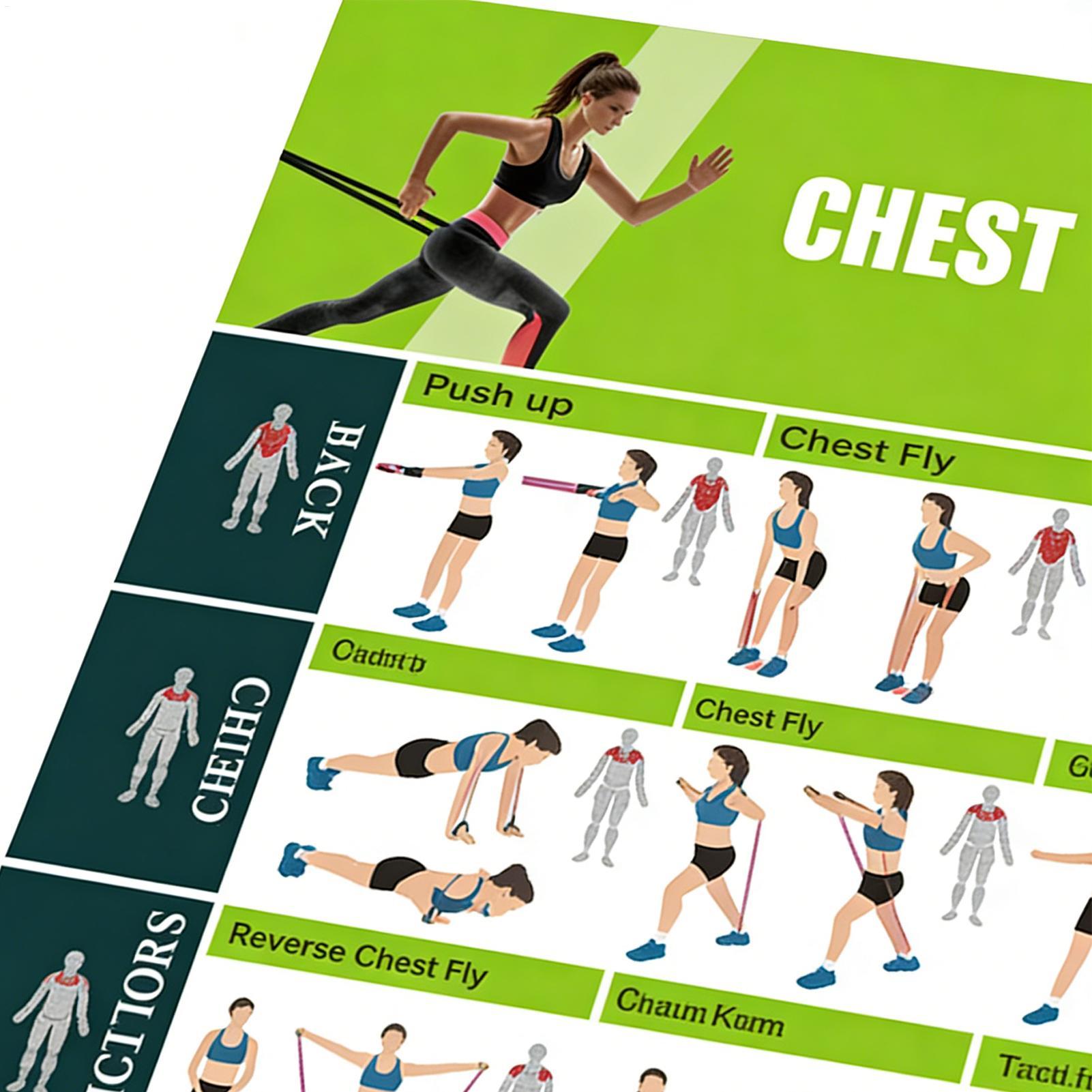 Fitness-Poster, Widerstandsbän – Women Accessories Poster Bewertung und Preis